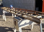 23 ALF Ladder - Jan 2020